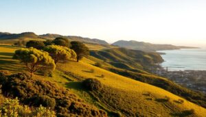 Coastal Northland farmland with pōhutukawa along a ridgeline